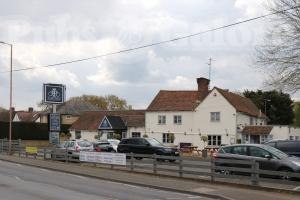 Picture of Royal Rose