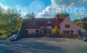 Picture of The Peldon Rose