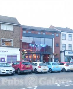 Picture of The Ivy Wall (JD Wetherspoon)