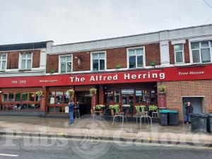Picture of The Alfred Herring