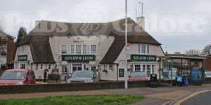 Picture of Golden Lion