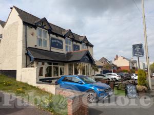 Picture of The Swan