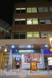 Picture of Molloy's