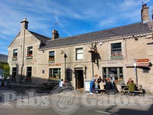 Picture of Bulls Head