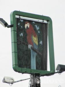 Picture of The Parrot Inn