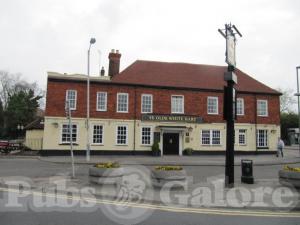 Picture of Ye Olde White Hart