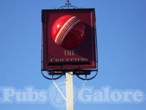 Picture of The Cricketers