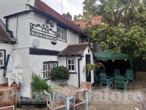Picture of The Cricketers