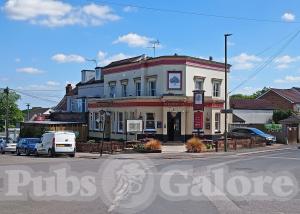 Picture of The Old Chestnut