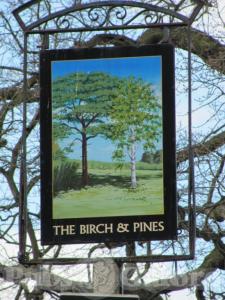 Picture of The Birch and Pines