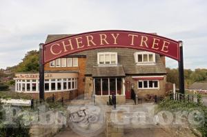 Picture of Cherry Tree