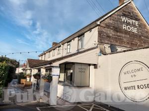 Picture of The White Rose