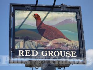 Picture of The Red Grouse