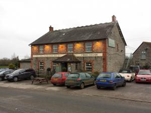 Picture of The Natterjack