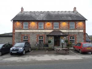 Picture of The Natterjack