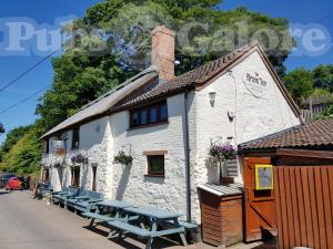 Picture of The Rising Sun Inn