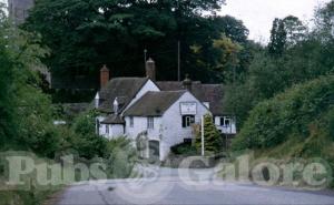 Picture of Royal Oak