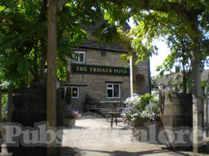 Picture of The Trigger Pond