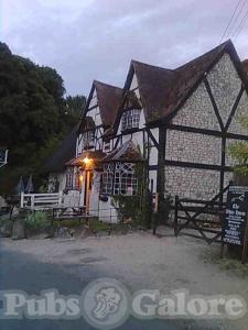 Picture of The White Horse