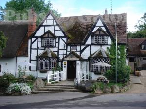 Picture of The White Horse