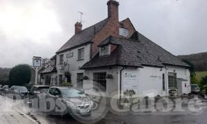 Picture of The Frog at Skirmett