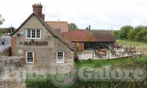 Picture of The Maybush