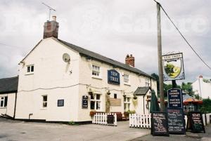 Picture of The Yew Tree