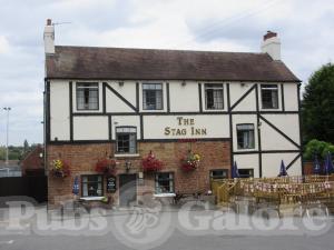 Picture of The Stag
