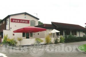 Picture of Pied Piper