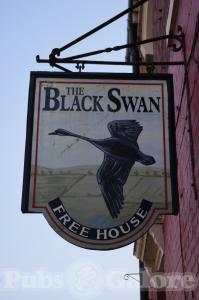 Picture of The Black Swan