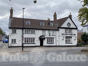Picture of The Old Grey Mare
