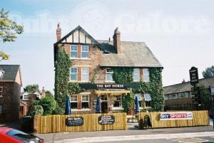 Picture of The Bay Horse