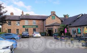 Picture of Hickory's Smokehouse York