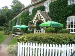 Picture of Hare Arms