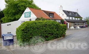 Picture of Reedham Ferry Inn