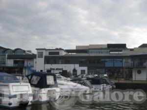Picture of The Swan