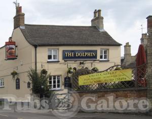 Picture of The Dolphin
