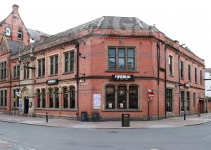 Picture of Firebug