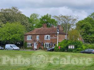 Picture of The Flying Horse