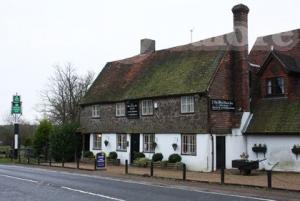 Picture of The White Horse