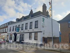 Picture of The Green Lion