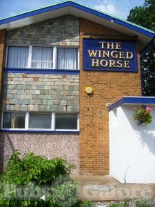 Picture of The Winged Horse