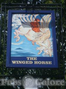 Picture of The Winged Horse
