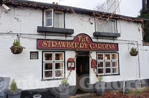 Picture of The Strawberry Gardens