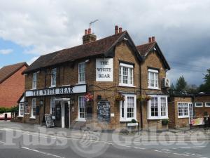 Picture of The White Bear