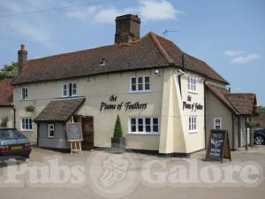 Picture of The Plume of Feathers