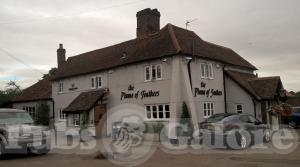 Picture of The Plume of Feathers