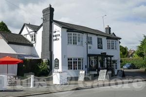 Picture of The White Swan