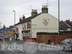 Picture of The Golden Lion