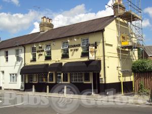 Picture of The Golden Lion